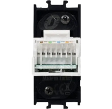 Modul Keystone cu standard Cat6a