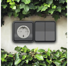 Priză și întrerupător cu capac pe un perete cu iederă