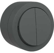 Buton de apă pentru toaletă