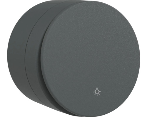 Buton cu revenire Ovivo xOne Big Button IP54 antracit, montaj aplicat Lumină rotundă de plafon