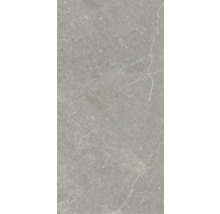 Model de faianță din gresie