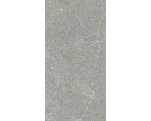 Model de faianță din gresie