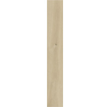 Structură din lemn pentru proiecte de construcție și renovare