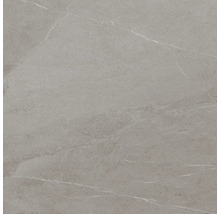 Vizualizare detaliată a unei plăci de podea cu structură de marmură