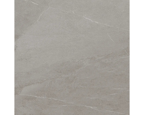 Gresie exterior / interior porțelanată rectificată MIRAVA NARVIK silver 60x60 cm Vizualizare detaliată a unei plăci de podea cu structură de marmură