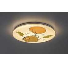 Lumină de tavan cu motiv arici pentru camera copiilor