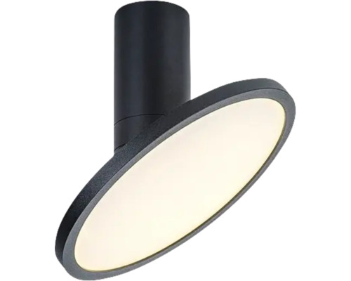 Spot aplicat cu LED integrat Ovidia 20W 1600 lumeni înclinabil, negru Lumină de tavan pivotantă cu LED rotund