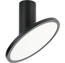 Lumină de tavan pentru iluminatul camerei