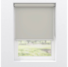 Fereastră cu jaluzea rulantă coborâtă