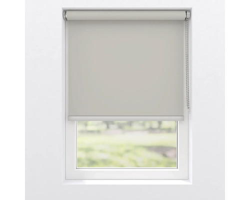 Fereastră cu jaluzea rulantă coborâtă