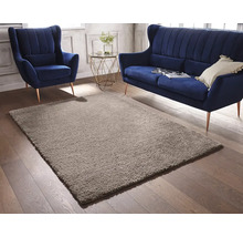 Living cu covor, fotoliu și canapea