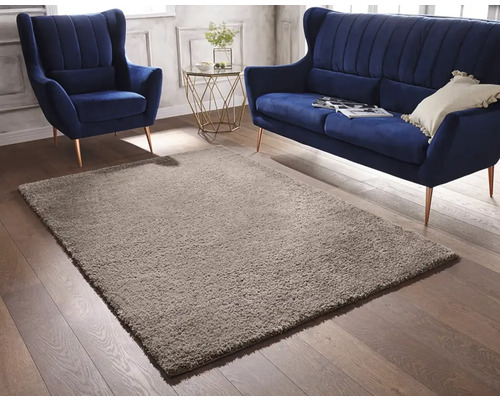 Living cu covor, fotoliu și canapea