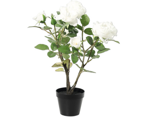 Floare artificială trandafir Lafiora în ghiveci H 48 cm alb Plantă artificială trandafir în ghiveci negru