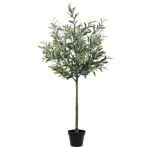 Măslin artificial în ghiveci