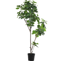 Ficus artificial în ghiveci pentru decorare