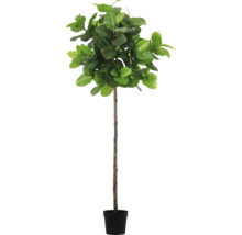 Ficus Lyrata artificial în ghiveci