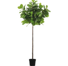 Ficus artificial în ghiveci