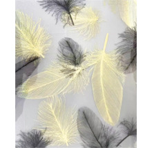 Design tapetă cu pene decorative