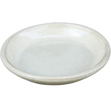 Bol ceramic plat