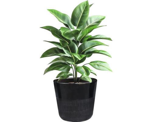 Ghiveci flori ceramică Ø 37 cm H 32,5 cm negru | HORNBACH