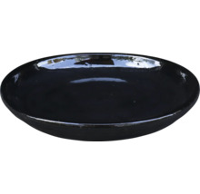 Bol negru