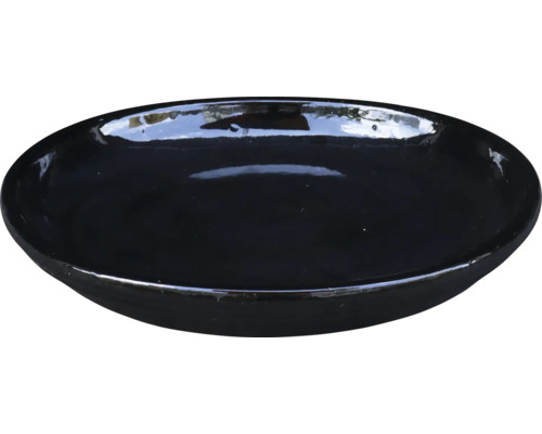 Bol negru