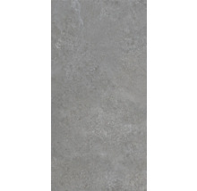 Placă ceramică porțelanată gri cu suprafață mată