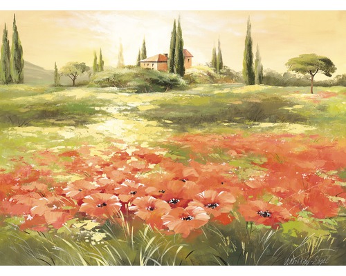 Tablou canvas Poppy Field 57x77 cm