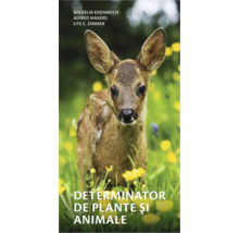 Carte cu o căprioară în iarbă