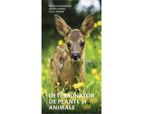 Carte Determinator de plante și animale Carte cu o căprioară în iarbă
