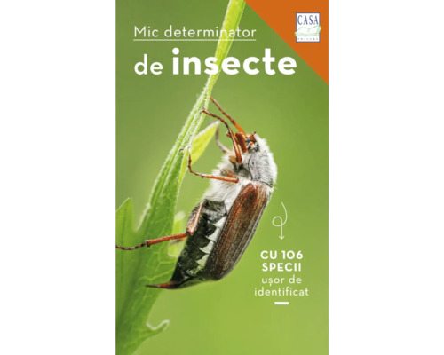 Determinant de insecte