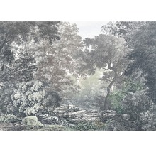 Fototapet vlies R4-060 Fairytale Forest 400x280 cm