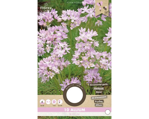 Ambalaj Allium roseum, usturoi decorativ cu perioada de înflorire, perioada de plantare și înălțimea plantei