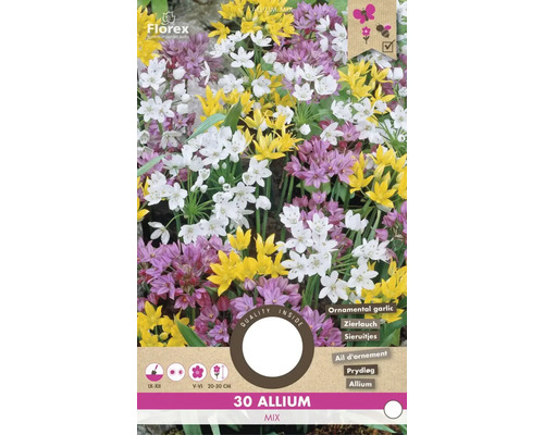 Pachet de amestec de usturoi ornamental, potrivit pentru grădini