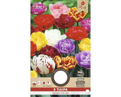 Ambalaj cu lalele de tip Double Late Mix