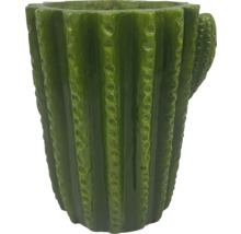 Ghiveci de flori în formă de cactus