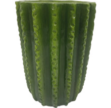 Ghiveci de flori în formă de cactus