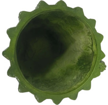 Vedere de sus a unui ghiveci verde cu margine zimțată