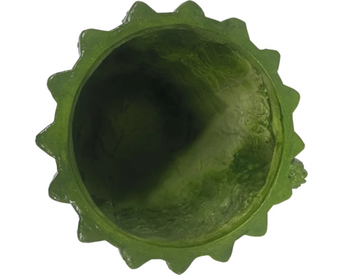 Vedere de sus a unui ghiveci verde cu margine zimțată