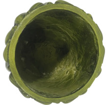 Vedere interioară a unui ghiveci de flori