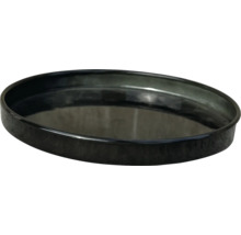 Bol negru pentru plante