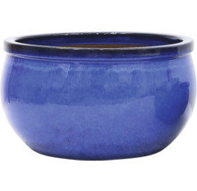 Ghiveci albastru pentru interior