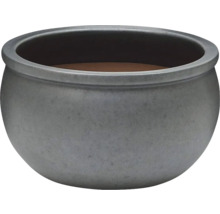 Bol rotund pentru plante