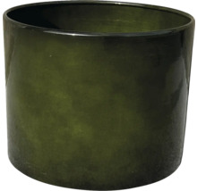 Ghiveci de flori din sticlă