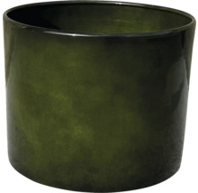 Ghiveci de flori din sticlă