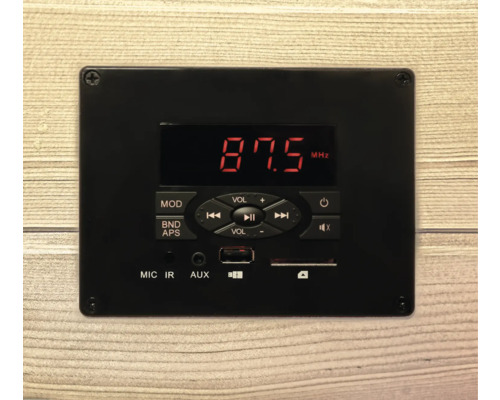 Modul audio negru cu ecran, butoane și conectori