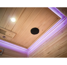 Plafonul unei saune cu iluminare, difuzor și ventilație
