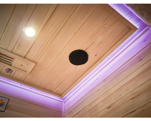 Plafonul unei saune cu iluminare, difuzor și ventilație