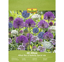 FloraSelf Allium ornamental amestec special pentru albine și fluturi, pachet de 40 bucăți