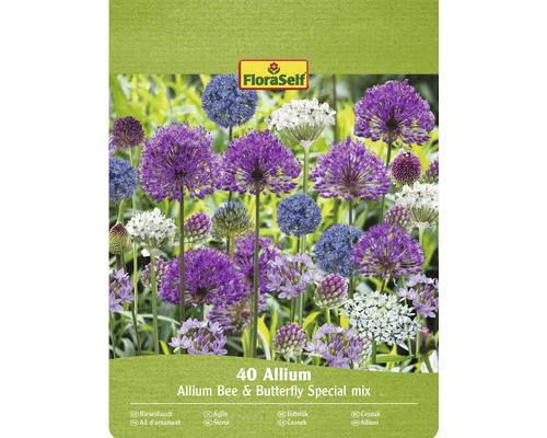 FloraSelf Allium ornamental amestec special pentru albine și fluturi, pachet de 40 bucăți